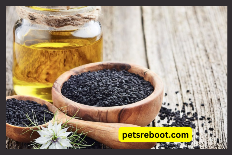 Can Dogs Eat Black Seed Oil?