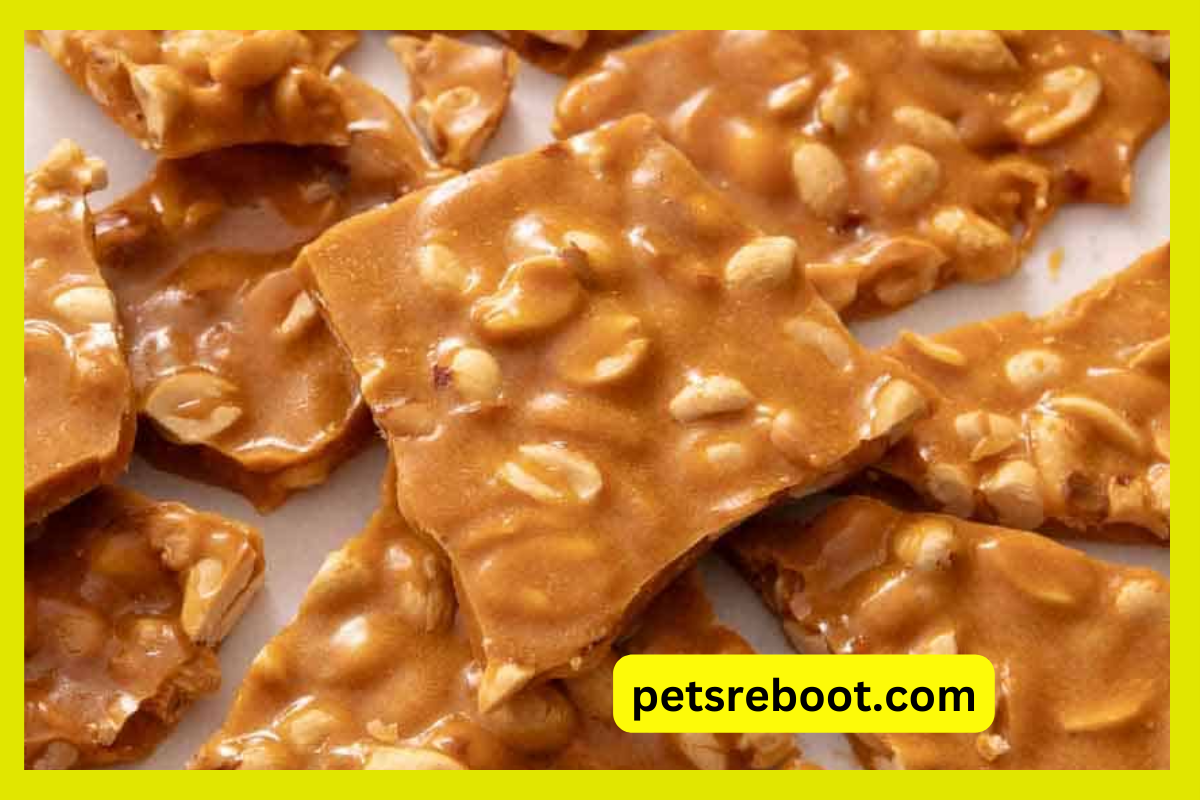 Can Dogs Eat Peanut Brittle?