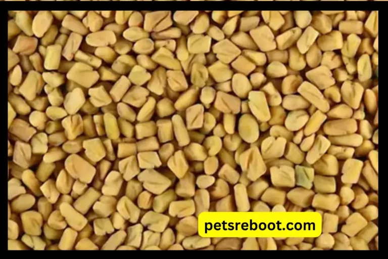 Can Dogs Eat Fenugreek Seeds?